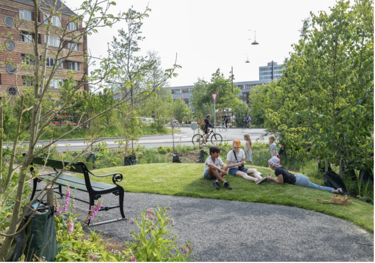Cultivating Equality: Inclusive Green Spaces for Low-Income Communities